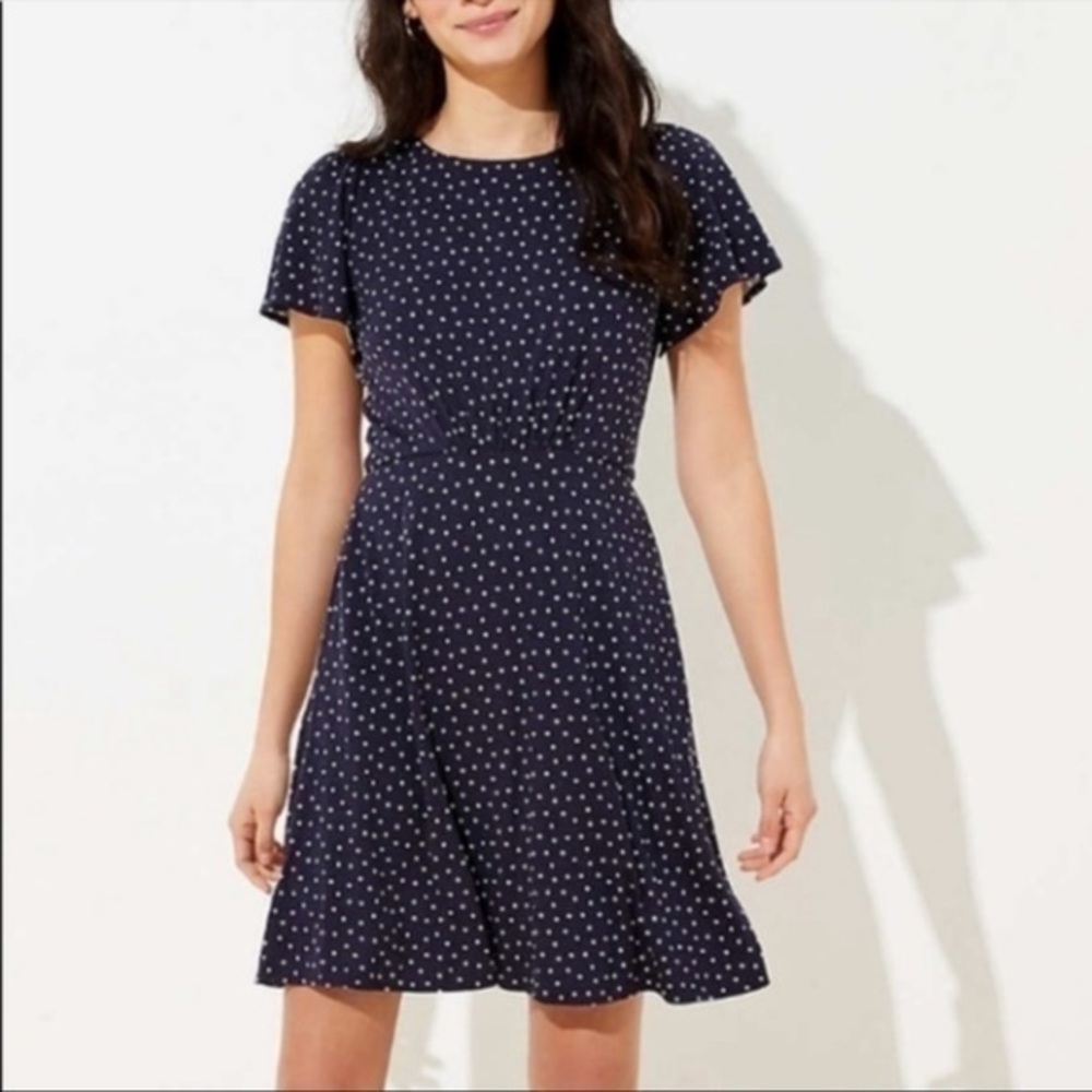 NWT Loft Blue Polka Dot Dress